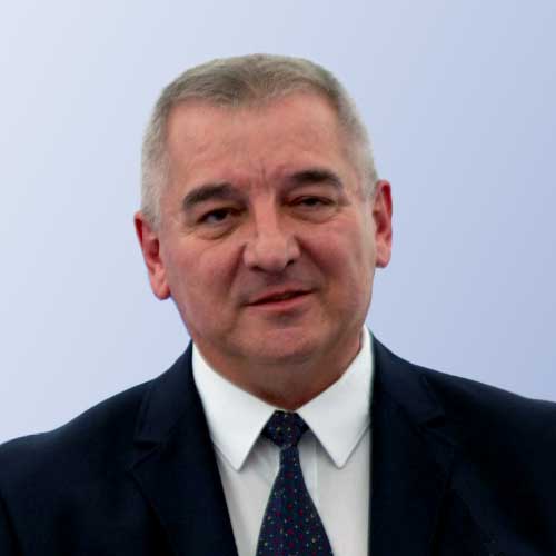 Ilie Vlaicu